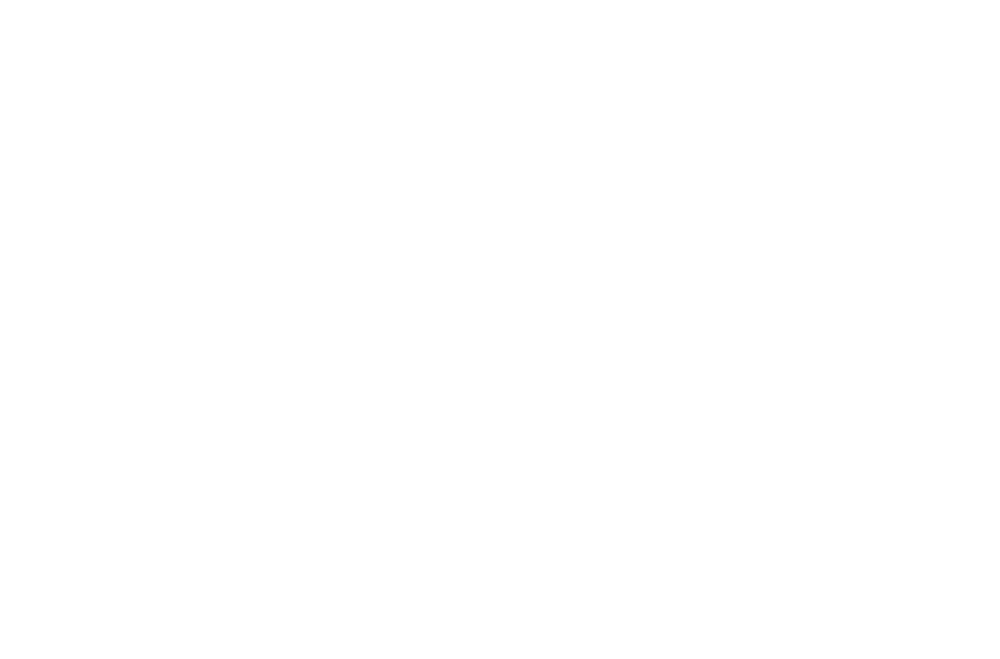 Sängerin Schweiz Lina Scholz Logo